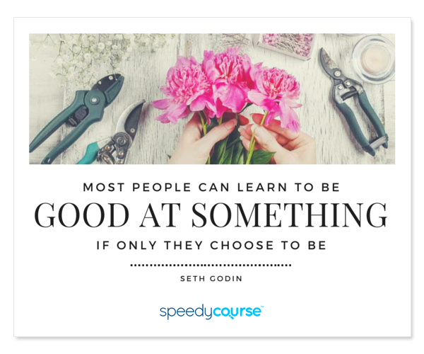 "...most people can learn to be good at something, if only they choose to be..." ― Seth Godin